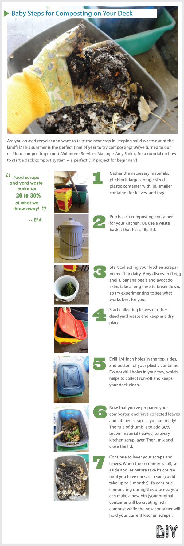 Baby Steps for Composting