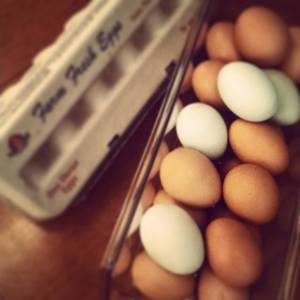 10259839_10100779328092163_7121686720467247579_n